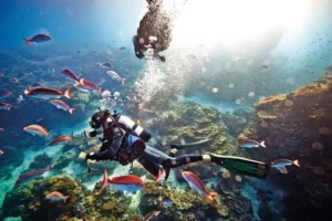 Best Scuba Diving Spots in the Great Barrier Reef, Australia