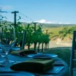 Best Wine Tours in Napa Valley California