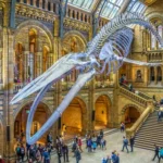 Top Museums and Galleries in London UK