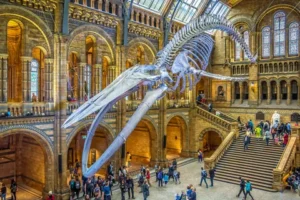 Top Museums and Galleries in London UK